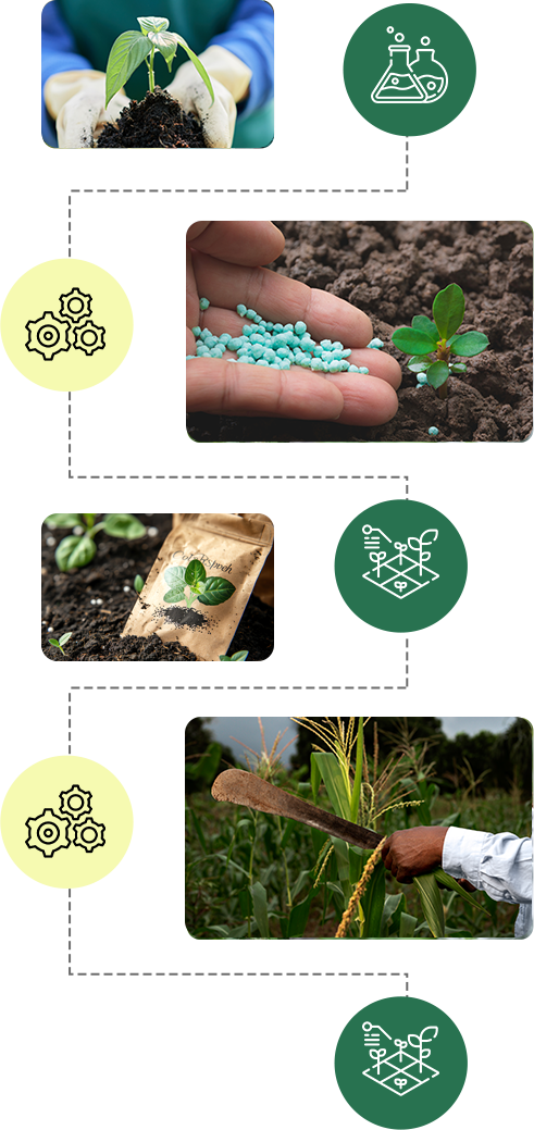 Understanding Our Products